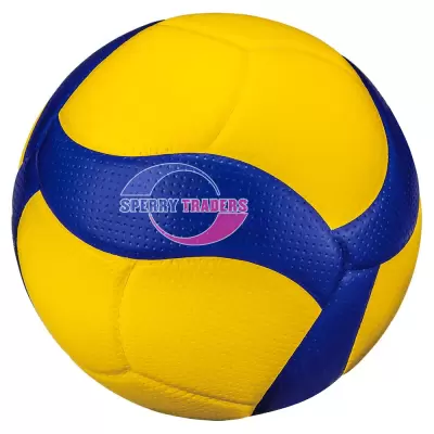 Volley Ball